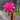 Camilla the Ostrich Umbrella - Bumble Living