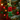 Christmas Chilly Chilli Felt Decoration - Bumble Living