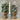 Christmas Tree Advent Candle - Bumble Living