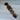 Forever Entwined Padlock Welsh Love Spoon - Bumble Living