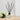 Freckleface Pomegranate Black Reed Diffuser - Bumble Living