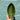 Green Leaf Mini Trinket Dish - Bumble Living