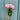 Harper Rose - Pale Pink - Bumble Living