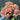 Imperial Hydrangea Stem - Light Pink - Bumble Living