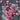 Japanese Pink Cherry Blossom Spray - Bumble Living