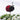 Ladybird On A Wire Felt Decoration - Bumble Living