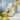 Limone Jug - Bumble Living