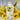 Limone Tall Vase - Bumble Living