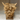 Morag Teeny Highland Cow Jute Natural Ornament - Bumble Living