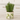 Olive Planter - Bumble Living