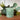 Pale Green Mini Pillar Candle 7cm - Bumble Living