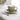 Pembroke Stoneware Cup & Saucer Green - Bumble Living