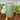 Verte Rustic Pillar Candle 90 hours - Bumble Living
