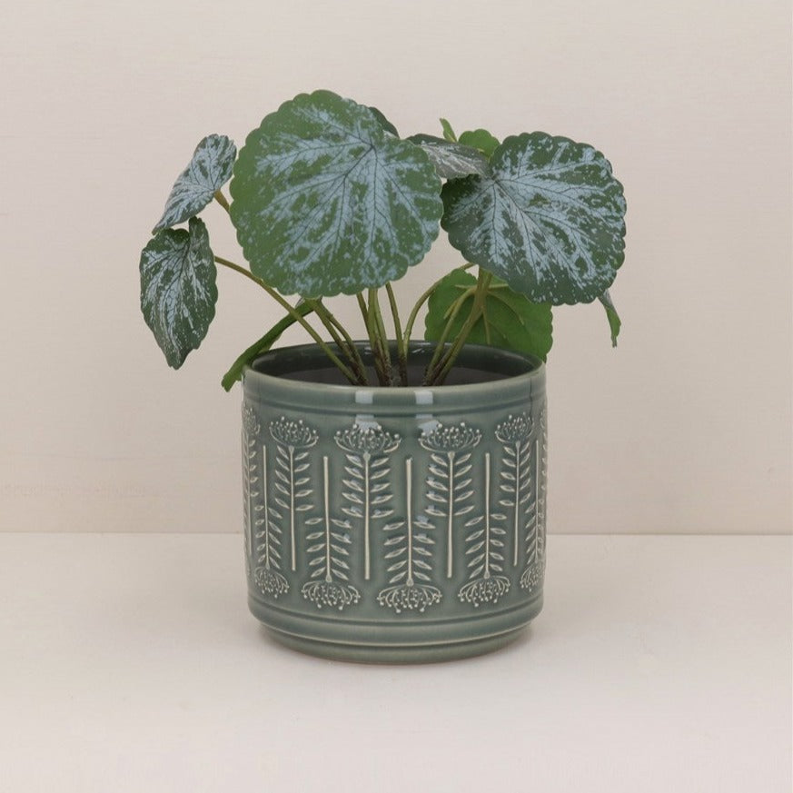 Sage Protea Stoneware Pot 14cm