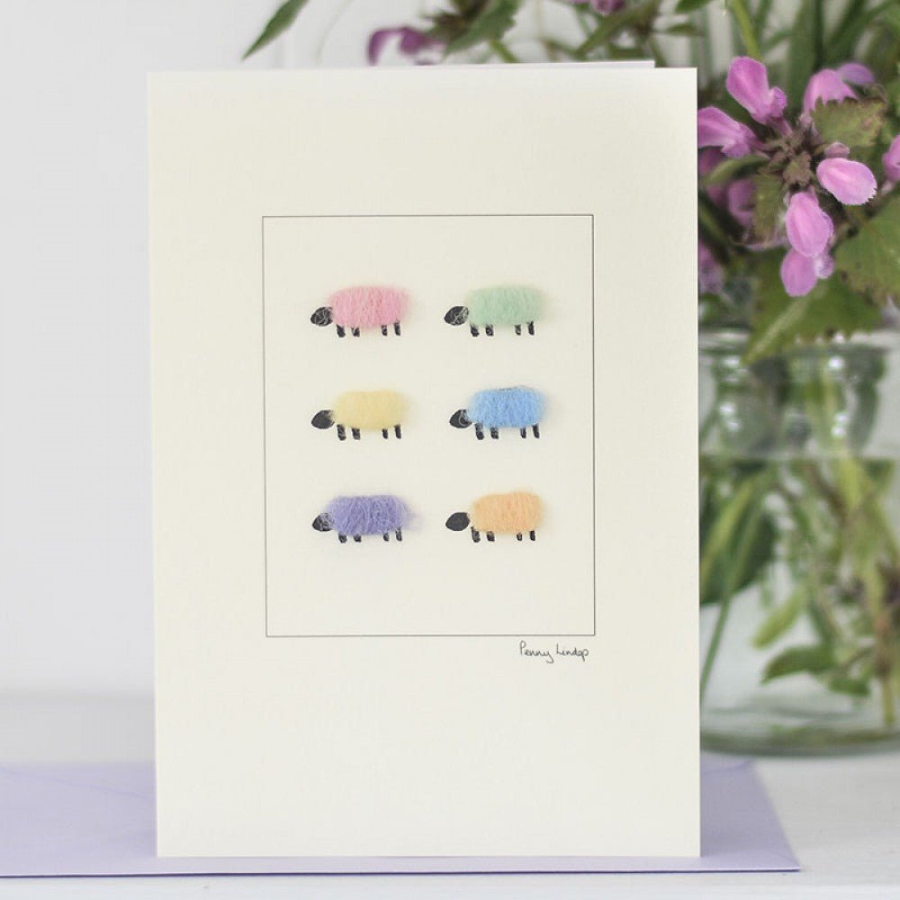 Six pastel-colored sheep greeting cards from Papersheep featuring cute sheep illustrations on the front.