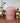 Rustic Scalloped Pillar Candle Dusky Pink 100x100mm