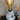 Oyster Original Gluggle Jug Lamp - Bumble Living