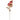 Artificial dried peony and vintage rose in pink, realistic faux flowers from Oaktree UK.