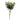 Frosted mid-green artificial eucalyptus bush from Oaktree UK, showcasing realistic leaves and natural-looking foliage.
