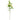 Artificial Peony Cream Spray by Oaktree UK, realistic cream-colored peony flowers on green stems for decorative use.