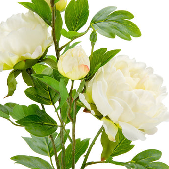 Artificial Peony Cream Spray by Oaktree UK, realistic cream-colored peony flowers on green stems, ideal for floral decor.