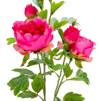 Dark pink artificial peony spray from Oaktree UK with multiple realistic-looking dark pink peony blossoms and green foliage.