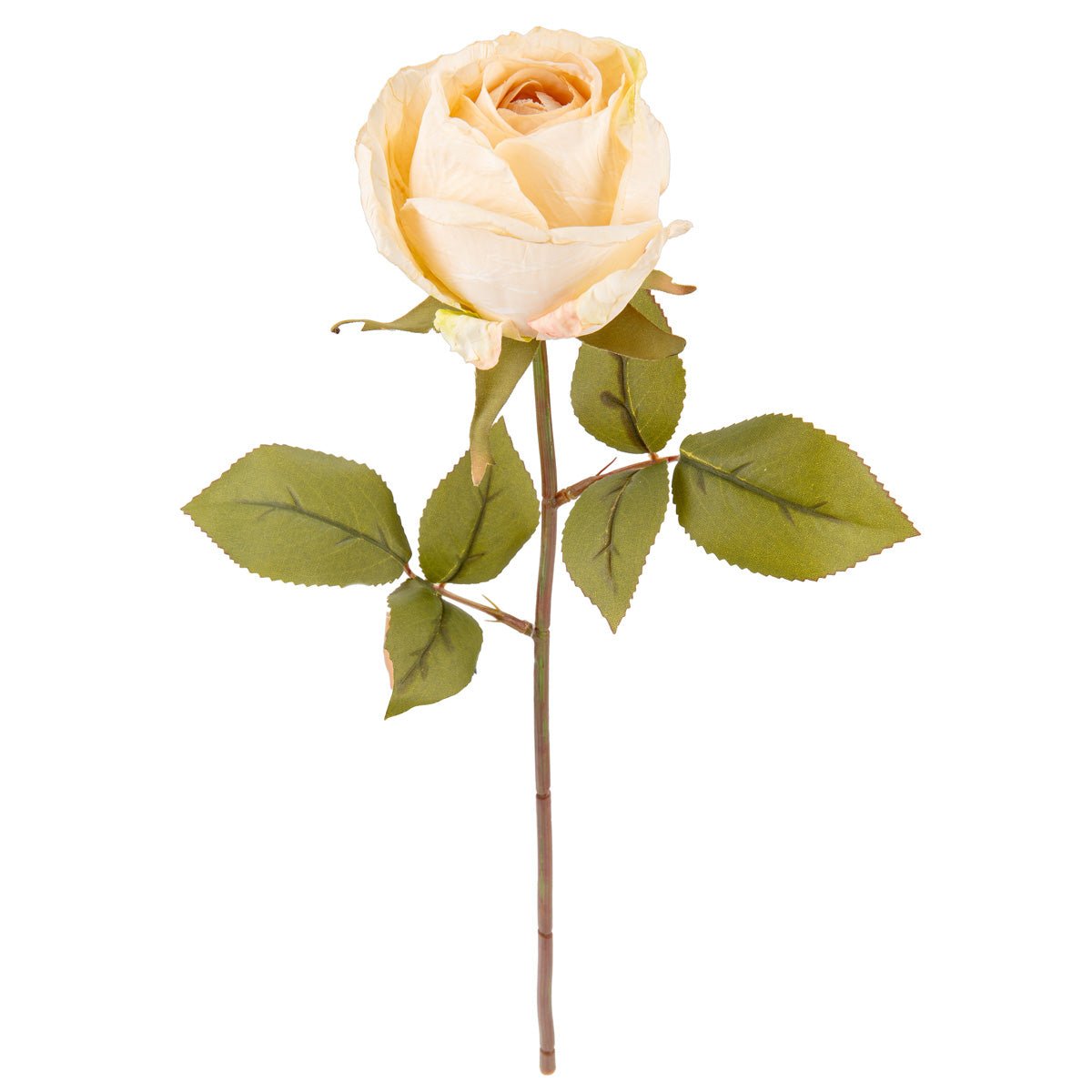 Cream-colored artificial rose almond stem from Oaktree UK, showcasing realistic petals and green foliage on a single stem.