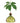 Avocado Vase Grass Green - Bumble Living