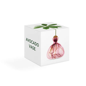Avocado Vase Pink - Bumble Living