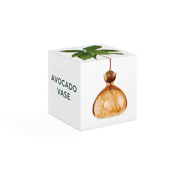 Glass avocado-shaped vase in Sweet Apricot color by ILEX STUDIO, with a smooth, rounded design perfect for floral arrangements.