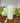 Bright Verte Rustic Pillar Candle 60 hours - Bumble Living