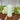 Bright Verte Rustic Pillar Candle 60 hours - Bumble Living