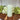 Bright Verte Rustic Pillar Candle 60 hours - Bumble Living