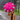 Camilla the Ostrich Umbrella - Bumble Living