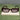 Chalk UK Miami Sunglasses  - Bumble Living