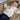 Chalk UK Mini Cub Jumper - Ivory 0-12 Months - Bumble Living