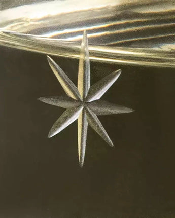 Champagne Coupe Etched Stars - Bumble Living