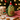 Felt Christmas avocado decoration by Amica, featuring festive green avocado shape with holiday embellishments and red ribbon details.