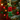 Amica Christmas Chilly Chilli felt decoration with red and green colors, perfect for holiday tree or home decor.