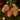 Christmas Cockapoo Felt Decoration - Bumble Living
