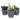 Casa Verde Delphi Midnight Dutch Plant Pot with assorted designs, features stylish ceramic finish and vibrant patterns.