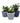 Delphi Midnight Plant Pot - Assorted Designs - Bumble Living