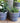 Delphi Midnight Plant Pot - Assorted Designs - Bumble Living