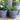 Casa Verde Delphi Midnight Dutch Plant Pot with assorted designs, featuring a sleek dark finish and decorative patterns.