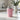 Edgie 'The Stubby One' Pink Insulated Coffee Cup - Bumble Living
