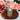 Freckleface Botanical Small Leaf - Bumble Living