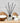 Freckleface Coconut & Sea Salt Reed Diffuser - Bumble Living