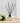 Freckleface Pomegranate Black Reed Diffuser - Bumble Living
