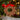 Gisela Graham gingerbread man wreath decoration with festive holiday design for seasonal decor.