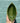 Green Leaf Mini Trinket Dish - Bumble Living